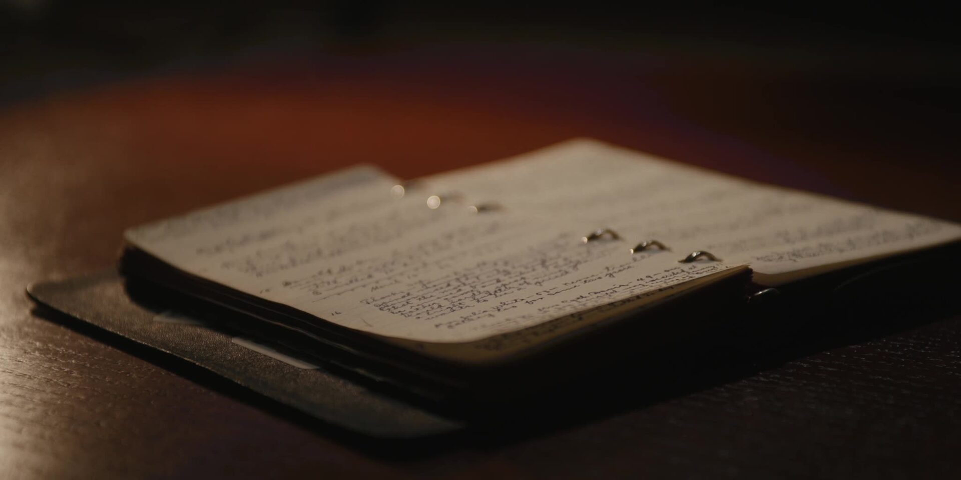 The Violinist — Father Solanus’s notebook